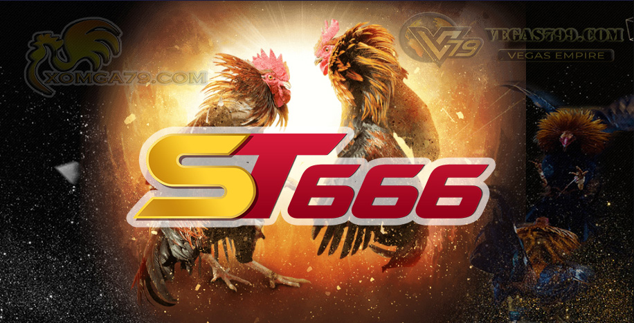 st666