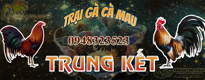 trại gà trung kết cà mau